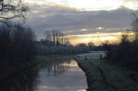Paysage d'hiver