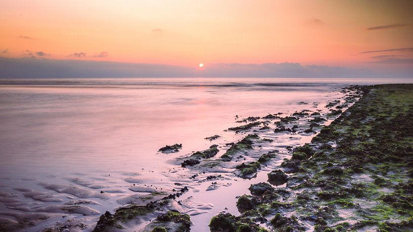 Le reste par WILBERT HEIJKOOP photography