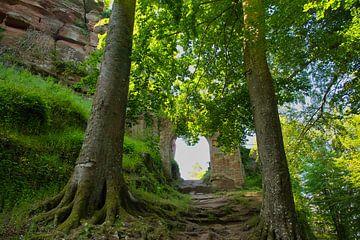 Porte du château de Falkenstein dans les Vosges sur Tanja Voigt