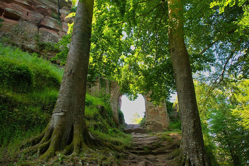 Porte du château de Falkenstein dans les Vosges par Tanja Voigt