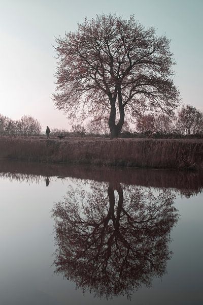 Walking to the light by Elianne van Turennout