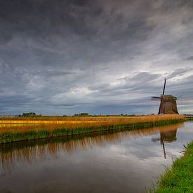 Molen en bollenvelden bij Spanbroek van Jan Siebring