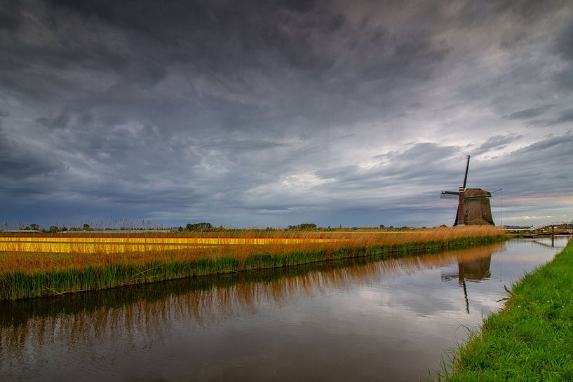 Molen en bollenvelden bij Spanbroek by Jan Siebring