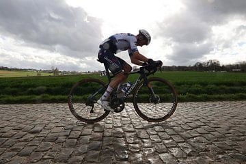 Julian Alaphilippe sur les pavés à la recherche d'un classique sur FreddyFinn