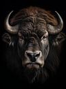 Buffel van Luc de Zeeuw thumbnail