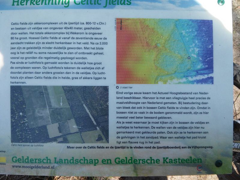 Informatiebord Celtic fields van Veluws