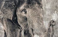Gentle by Gitta Reiszner thumbnail