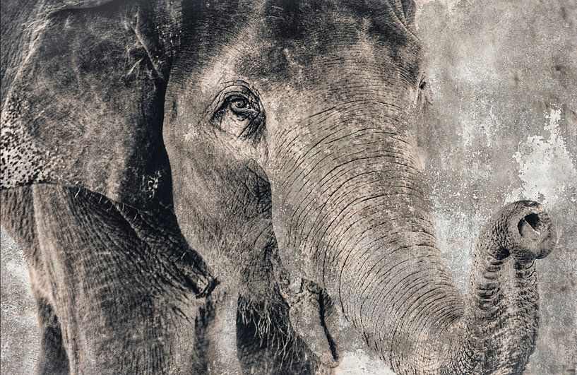 Gentle by Gitta Reiszner