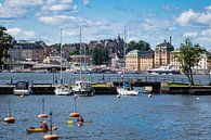 Blick auf die schwedische Hauptstadt Stockholm von Rico Ködder Miniaturansicht