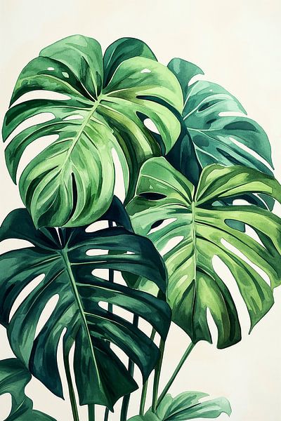Monstera Deliciosa no.1 by Studio BB
