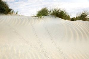 Sporen in het zand van Monique van Genderen (in2pictures.nl fotografie)