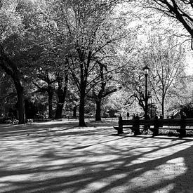 Morgenlicht im Central Park von Marieke Borst