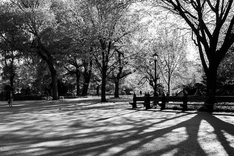 Morgenlicht im Central Park von Marieke Borst