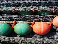 Fishing nets with buoys in the port of Lauwersoog