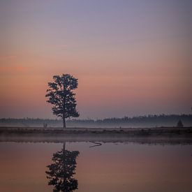 Lever du soleil Sable d'Aekinger sur Sjoukelien van der Kooi