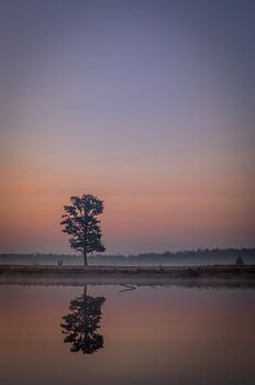 Sonnenaufgang Aekinger Sand