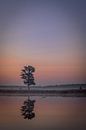 Zonsopkomst Aekingerzand van Sjoukelien van der Kooi thumbnail