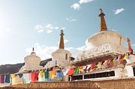 Stupa's en Tibetaanse gebedsvlaggen bij klooster in Ladakh van Your Travel Reporter thumbnail