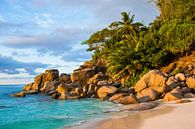 Plage de rêve Anse Georgette - Praslin - Seychelles par Max Steinwald Aperçu