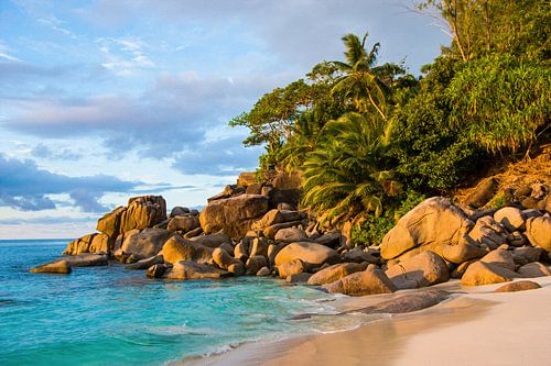 Traumstrand Anse Georgette -  Praslin - Seychellen von Max Steinwald
