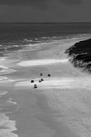 Fraser Island