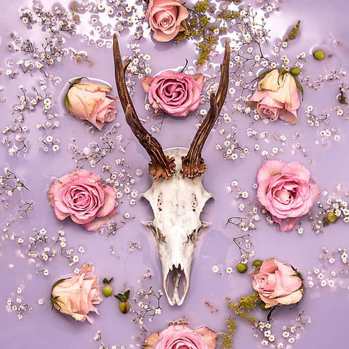 Deer antler - still life with pastel flowers.