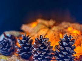 AUTUMN CONCEPT : PINE CONE IN AUTUMN by Photoart-Naegele