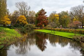 Colourful autumn landscape in Amsterdam's Erasmus Park by Werner Lerooy