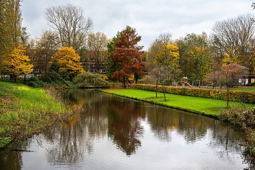Kleurrijk herfstlandschap in het Erasmuspark in Amsterdam