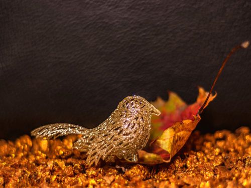 HERFSTCONCEPT: HERFSTSTEMMING