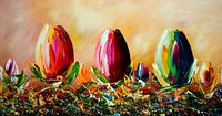Tulips