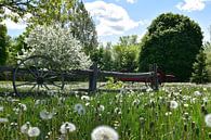 The park in spring by Claude Laprise thumbnail