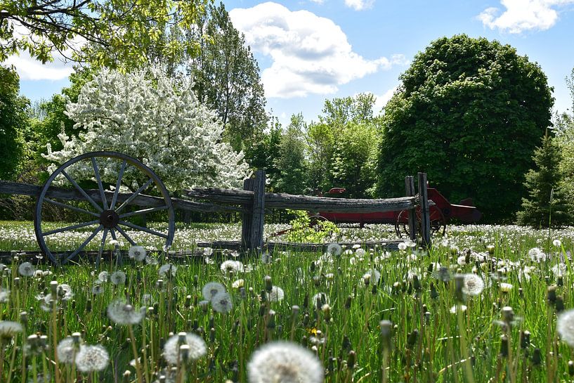 The park in spring by Claude Laprise