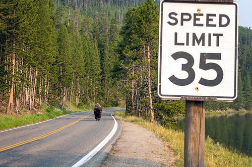 Yellowstone National Park