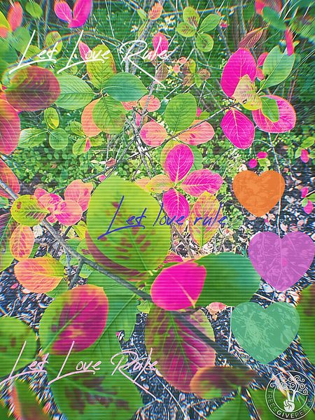 Lass die Liebe regieren von treesgivepeace.nl