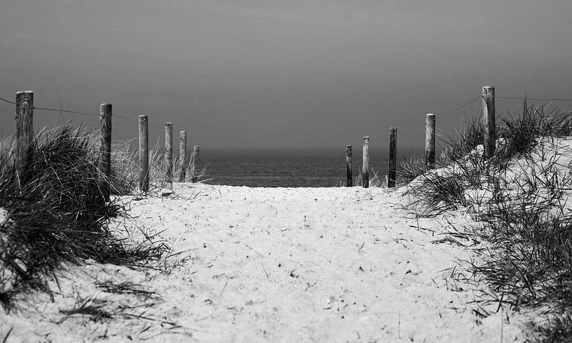 Chemin de dunes vers la mer par Frank Herrmann
