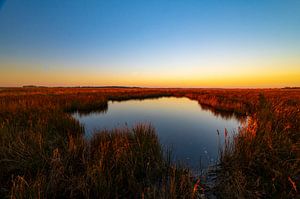 Schiermonnikoog vroege winterochtend zonsopgang op de kwelder van Sjoerd van der Wal Fotografie