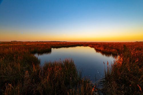 Schiermonnikoog vroege winterochtend zonsopgang op de kwelder