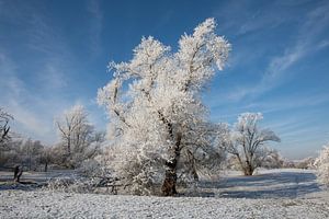 Winterlandschaft - herrliches Winterwetter