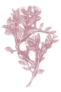 Botanische Kunst in Retro-Farben. Rosa und weiß. Japanischer Stil. von Dina Dankers