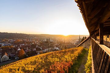 Uitzicht vanaf het kasteel over Esslingen am Neckar van Werner Dieterich