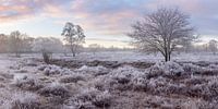 Winterlandschaft
