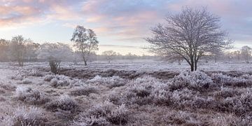 Winters landschap van Marcel Blijleven