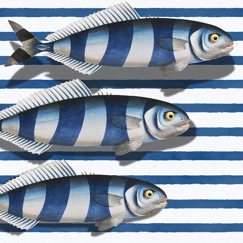 Something Fishy von Marja van den Hurk