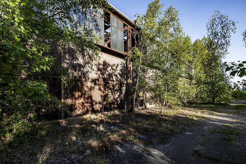 21 par Frank Herrmann