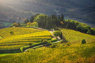 Radda in Chianti landscape, vineyards in autumn. Tuscany by Stefano Orazzini