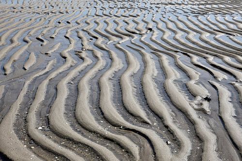 Ribbels van water en zand