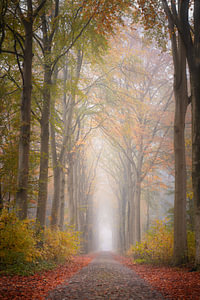 Puur herfst.