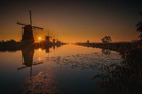 Sonnenaufgang Kinderdijk