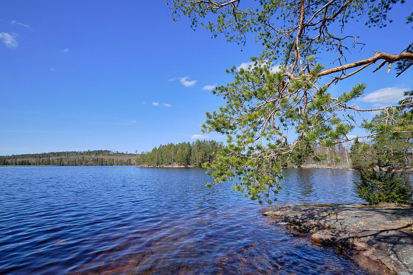 swedish water landscape/lake by Geertjan Plooijer